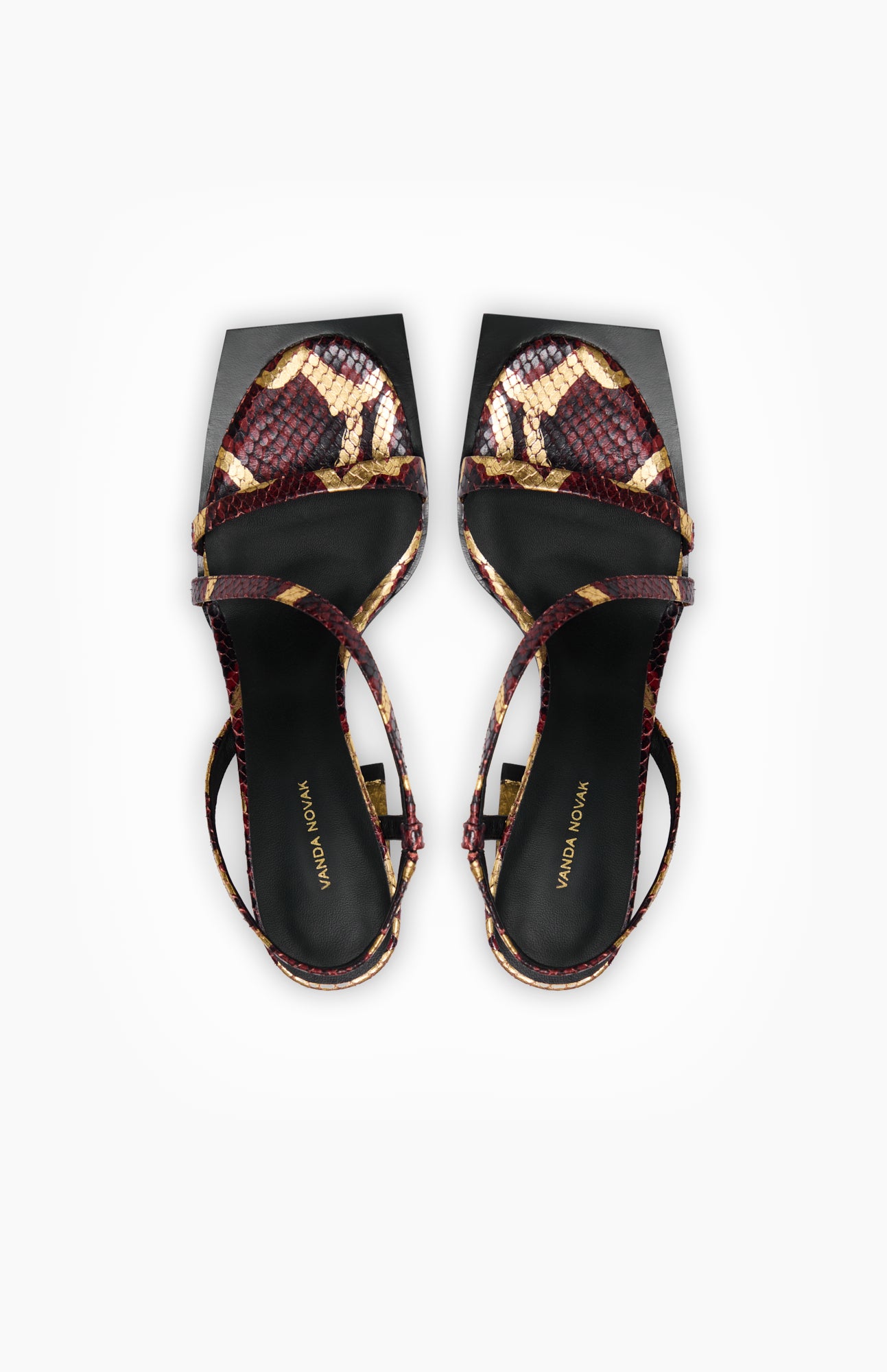 SELENA GOLD PYTHON