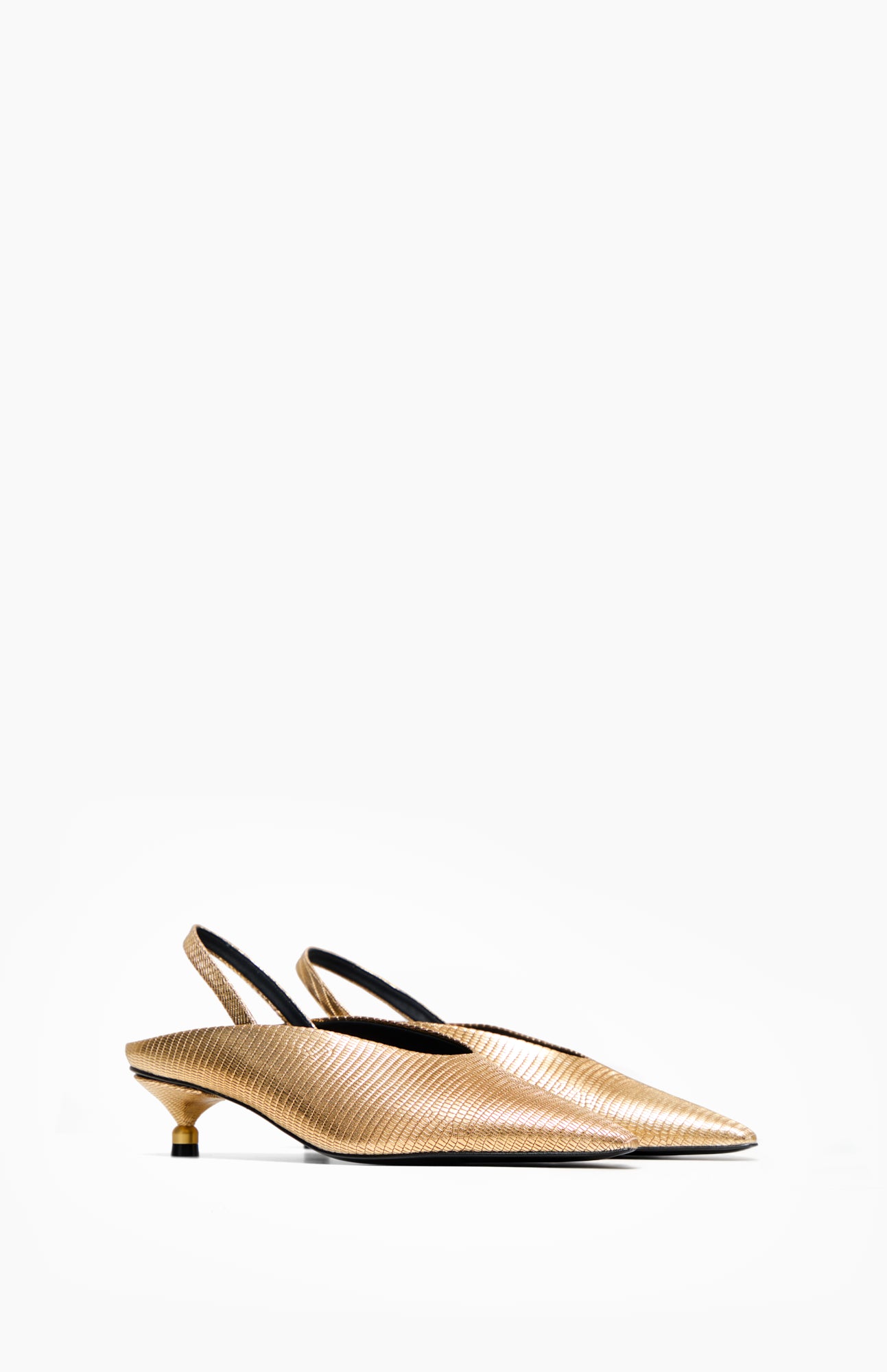 09e562c881573134adf75904d5ee6a00